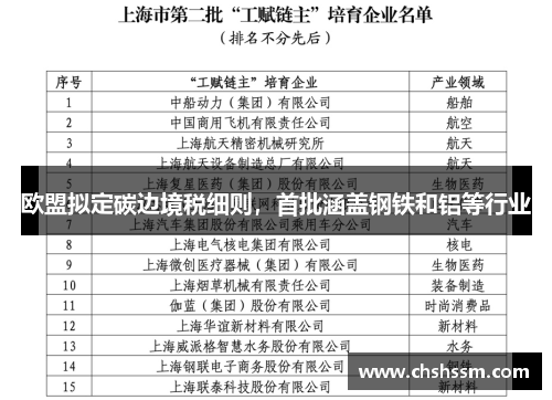 欧盟拟定碳边境税细则，首批涵盖钢铁和铝等行业